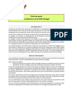 Ceas - Fiche de Poste Coordinatrice-Teur