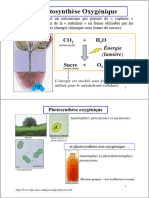 09 10 PhotosyntheseL2