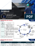 Escabiosis o Infeccion Por Acaros