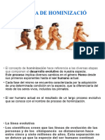 Historia de Hominización 4to