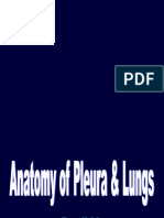 19-Pleura & Lungs