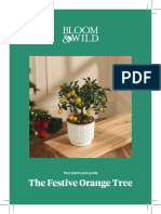 B&W - 2023 - Winter Plants - The Festive Orange Tree - AW