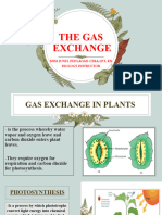 Gas Exchange