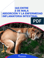 Ig - Enfermedad Inflamatoria Intestinal o Síndrome de Mala Absorcion