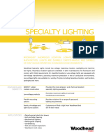 Specialty Lighting