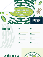 Biology Cell Presentation in Green White Illustrative Style