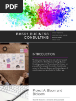 BM561 Business Consulting GROUP 2