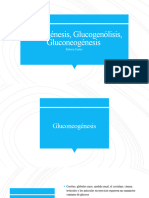 Metabolismo Glucogenesis, y Glucógeno BIOQUIMICA