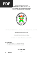 Práctica 04. Efecto de La Humedad Del Suelo y La Luz, en El Desarrollo de Las Plantas