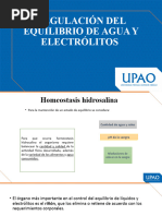 Homeostasis Hidrosalina