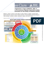 Diabetes Care in T2D