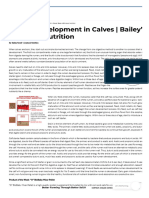 Rumen Development in Calves - Bailey's Bit About Nutrition - Midwestern BioAg