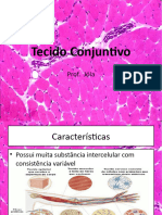 Biologia Tecidual Animal - Tecido Conjuntivo