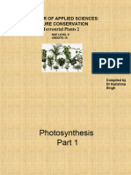 TERP021-Photosynthesis Part 1 Lecture DR Singh