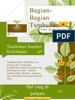 Bagian Tumbuhan Dan Fungsinya