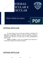 Sistema Articular