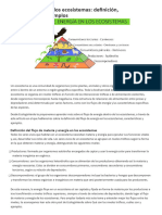 Flujo de Energía en Los Ecosistemas - Definición, Características y Ejemplos