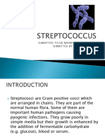 Streptococcus