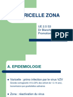 UE 2.5 S3 La Varicelle Et Le Zona