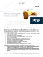 Activity#2 LM Profed101