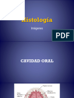 Histologia Imagenes