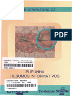 Pupunha-Resumos-Informativos