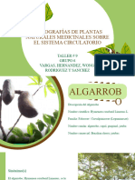 Plantas Medicinales Grupo#6