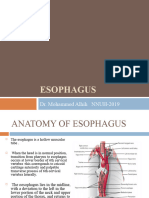 ESOPHAGUS Final