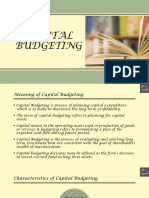 Capital Budgeting (Theory)