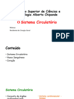 Sistema Circulatório2