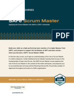 Safe Scrum Master 6.0 Partner