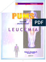 Taller LEUCEMIA PDF