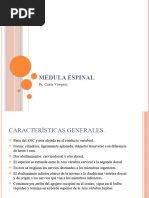 Médula Espinal 2018