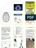 Triptico Cerebro