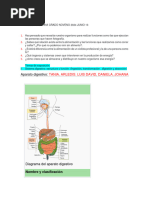 Taller Sabatina Grado Noveno 2024 Junio 13