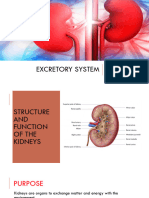 Excretory System