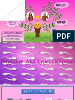 Structure of Sperm / Spermatozoon