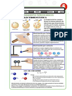 Fis6 - Guia 3P - Electrostatica