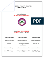 Tissue - Culture - Report - NEW Final