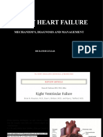 Right Heart Failure: Mechanism'S, Diagnosis and Management