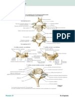 Vertèbres Cervicales (Suite)