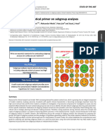 Subgroup Analyses