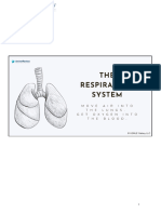 The Respiratory System6132024