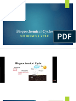 Nitrogen Cycle