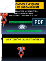 Pharmacology of Drugs Acting On Renal System