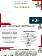 Constelaciones Familiares Clase Teórico Práctica