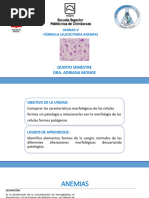 5.2 Anemias - Clasificación - . Pruebas de Laboratorio