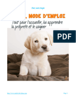 Chiot Mode Demploi 2013