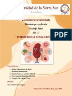 Trabajo Final. Insuficiencia Renal Crónica.