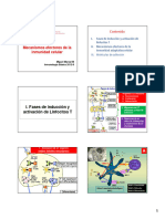 Mecanismos Efectores de Inmunidad Adaptativa Celular